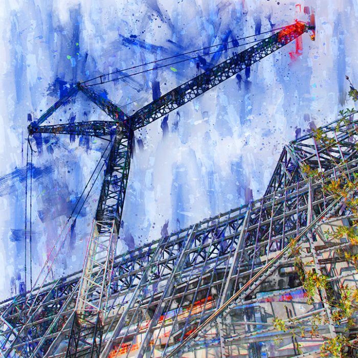 Crane 08